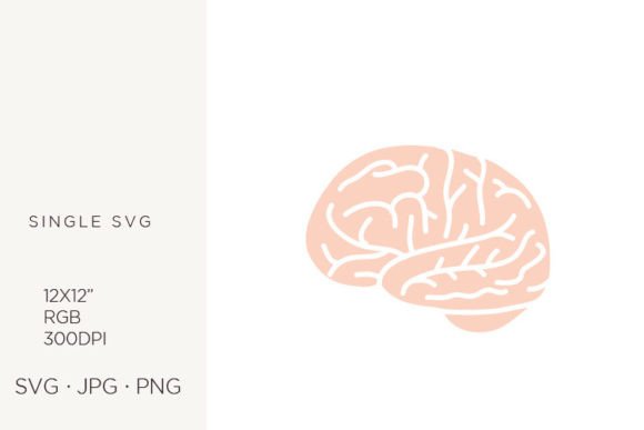 Evaluating the Human Brain Illustration for Professional Design Applications
