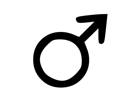 Mastering Visual Identity with the New UI Web Ding Web Element Male Icon