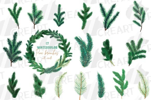 Watercolor Pine Tree Branches Elements